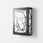 White Potted Plant - Wall Cabinet - Konrad Blaszczyk - Antracite - Overlay Metal