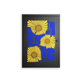 Sunflowers - Wall Cabinet - Sandra Hutter - Antracite - Overlay Metal