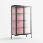 Tender Age in Bloom - Cabinet - Ciara Wade - Antracite - Reeded glass