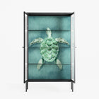 Turtle Without Kelp - Cabinet - Katie O’Shea - Antracite - Reeded glass