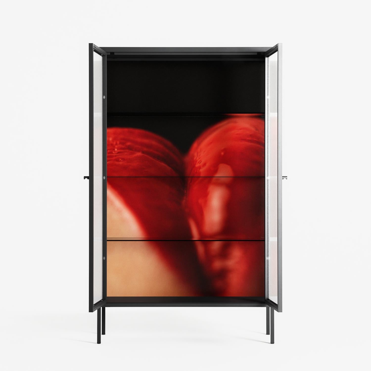 Red 3 - Cabinet - Nadia Ryder - Antracite - Reeded glass