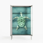Turtle Without Kelp - Cabinet - Katie O’Shea - Chalk - Reeded glass