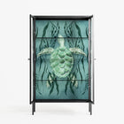 Turtle With Kelp - Cabinet - Katie O’Shea - Antracite - Clear glass