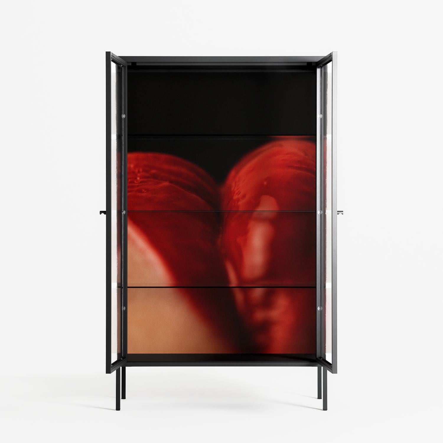 Red 3 - Cabinet - Nadia Ryder - Antracite - Clear glass