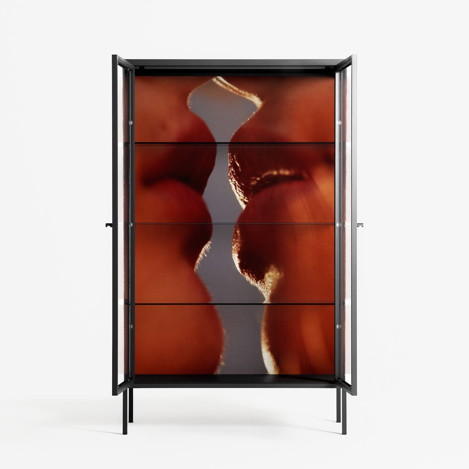 The Art Of Kissing 2 - Cabinet - Nadia Ryder - Antracite - Clear glass