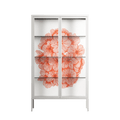Orange Flowers 1 - Cabinet - Katie O’Shea - Chalk - Clear glass