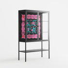 Get In The Fucking Frog Pit - Loft Cabinet - Aley Wild - Antracite - Clear glass