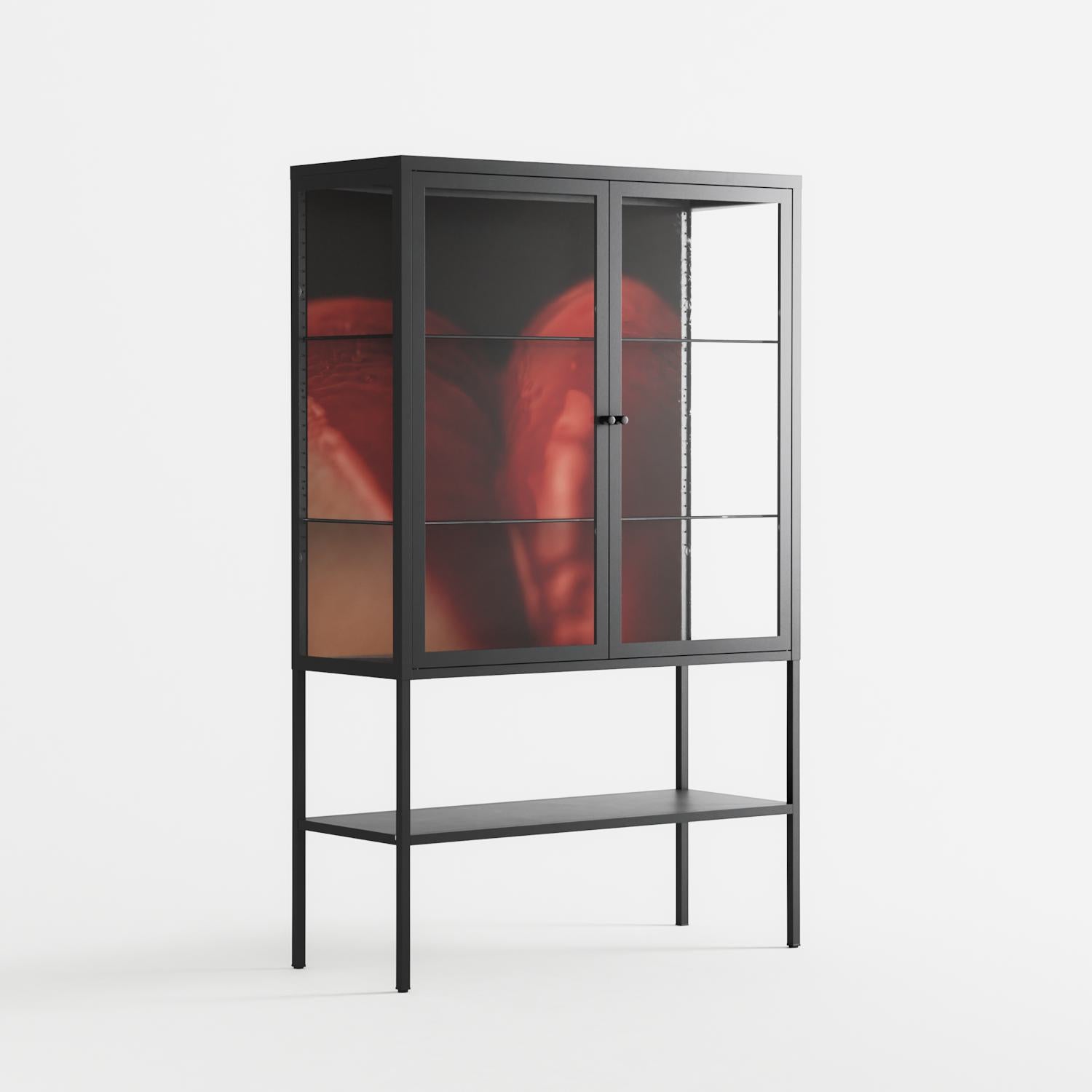 Red 3 - Loft Cabinet - Nadia Ryder - Antracite - Clear glass