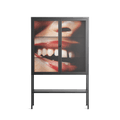 Teeth - Loft Cabinet - Nadia Ryder - Antracite - Clear glass