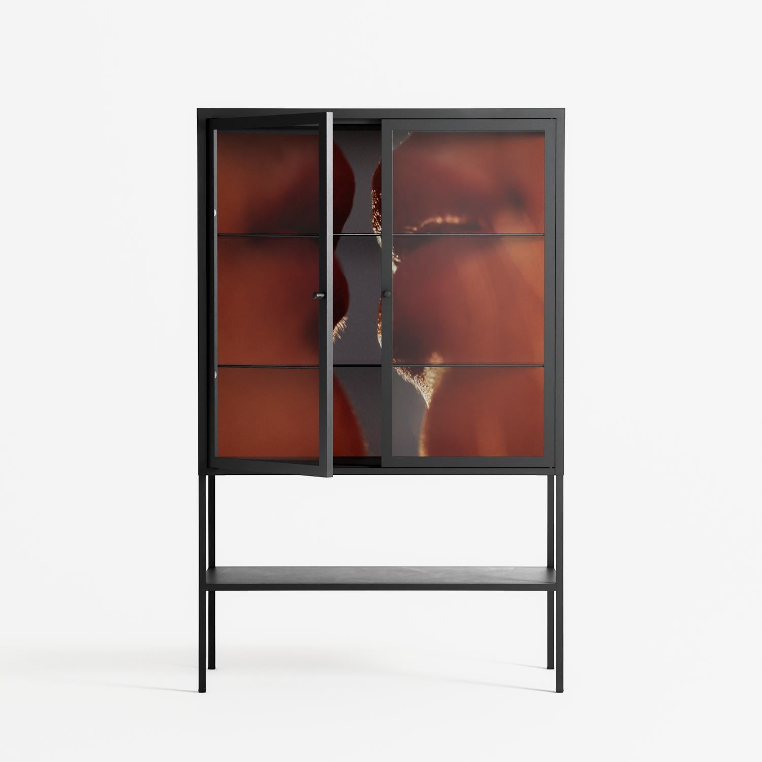 The Art Of Kissing 2 - Loft Cabinet - Nadia Ryder - Antracite - Clear glass