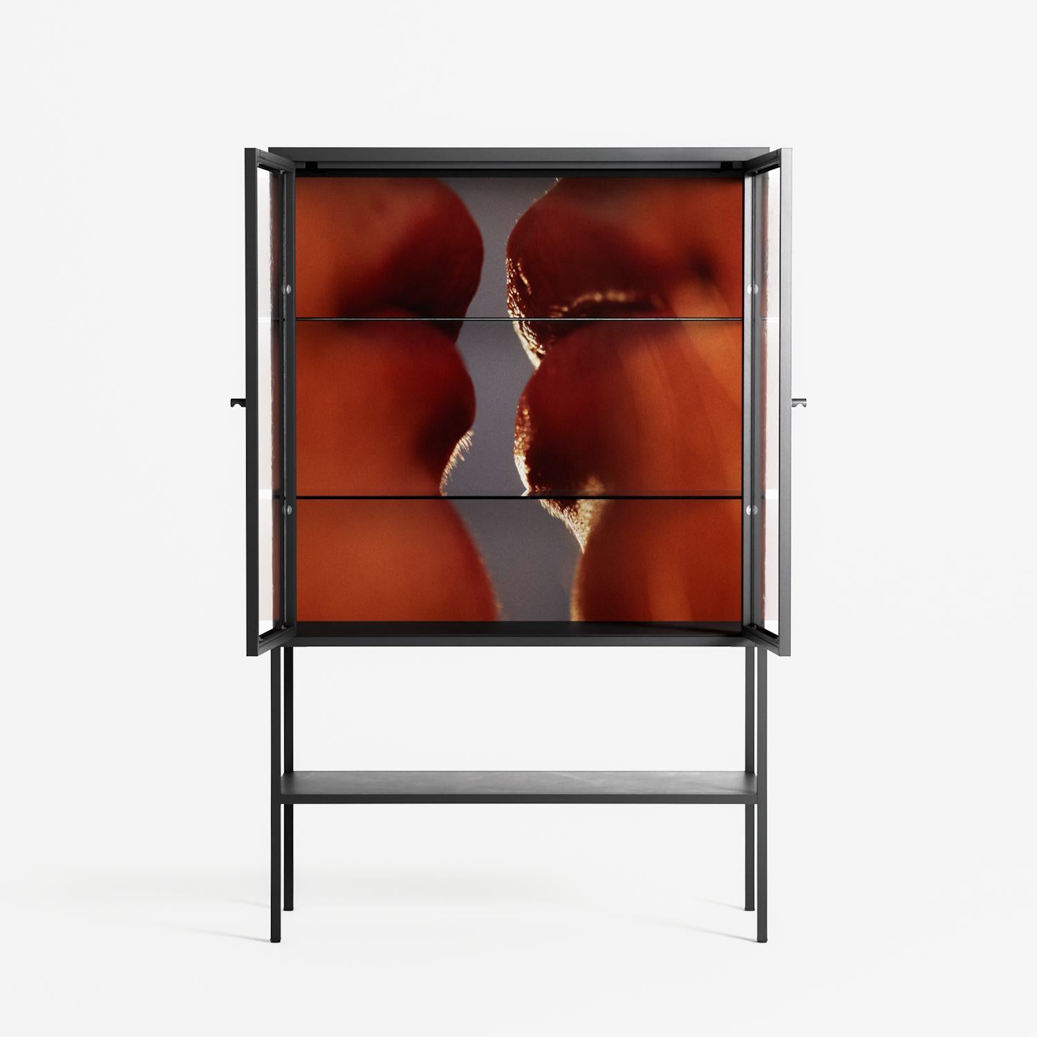 The Art Of Kissing 2 - Loft Cabinet - Nadia Ryder - Antracite - Clear glass