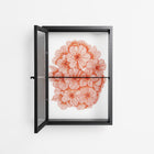 Orange Flowers 1 - Wall Cabinet - Katie O’Shea - Antracite - Reeded glass