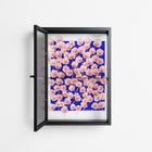 Redblooms - Wall Cabinet - Katie O’Shea - Antracite - Reeded glass