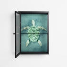 Turtle Without Kelp - Wall Cabinet - Katie O’Shea - Antracite - Reeded glass