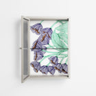 Tulips Purple - Wall Cabinet - Katie O’Shea - Pebble - Reeded glass