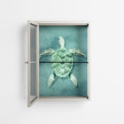 Turtle Without Kelp - Wall Cabinet - Katie O’Shea - Pebble - Reeded glass