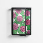 Pink Floras - Wall Cabinet - Katie O’Shea - Antracite - Clear glass