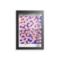 Redblooms - Wall Cabinet - Katie O’Shea - Antracite - Clear glass