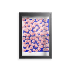 Redblooms - Wall Cabinet - Katie O’Shea - Antracite - Clear glass