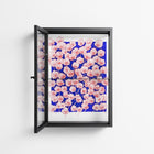 Redblooms - Wall Cabinet - Katie O’Shea - Antracite - Clear glass