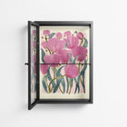 Tulips - Wall Cabinet - Katie O’Shea - Antracite - Clear glass