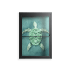 Turtle Without Kelp - Wall Cabinet - Katie O’Shea - Antracite - Clear glass