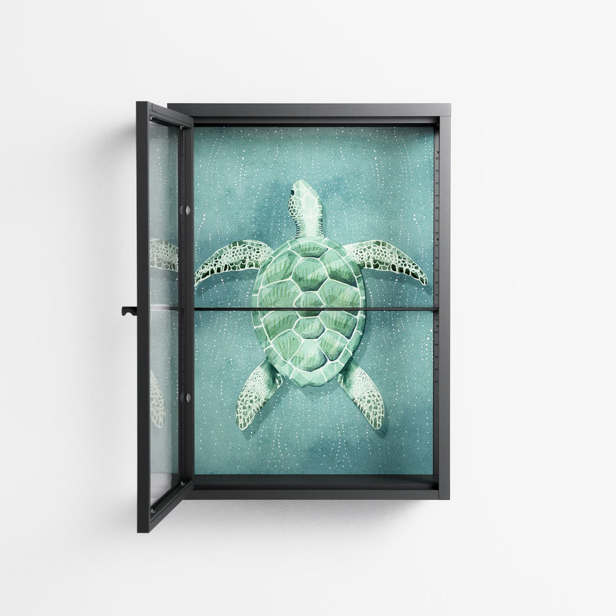 Turtle Without Kelp - Wall Cabinet - Katie O’Shea - Antracite - Clear glass