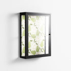 Pears - Wall Cabinet - Lydia Greaves - Antracite - Clear glass