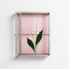 Kalas Konvalj - Wall Cabinet - Nur Rydberg - Pebble - Clear glass