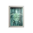 Turtle With Kelp - Wall Cabinet - Katie O’Shea - Pebble - Clear glass