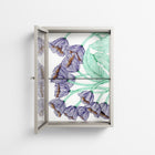 Tulips Purple - Wall Cabinet - Katie O’Shea - Pebble - Clear glass