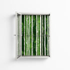 Björkskog - Wall Cabinet - Nur Rydberg - Chalk - Clear glass
