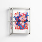 Buttercup - Wall Cabinet - Katie O’Shea - Chalk - Clear glass