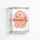 Orange Flowers 1 - Wall Cabinet - Katie O’Shea - Chalk - Clear glass