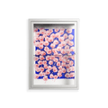 Redblooms - Wall Cabinet - Katie O’Shea - Chalk - Clear glass
