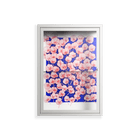 Redblooms - Wall Cabinet - Katie O’Shea - Chalk - Clear glass