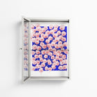 Redblooms - Wall Cabinet - Katie O’Shea - Chalk - Clear glass