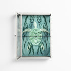 Turtle With Kelp - Wall Cabinet - Katie O’Shea - Chalk - Clear glass