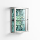 Turtle With Kelp - Wall Cabinet - Katie O’Shea - Chalk - Clear glass