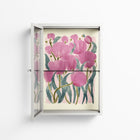 Tulips - Wall Cabinet - Katie O’Shea - Chalk - Clear glass