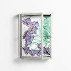Tulips Purple - Wall Cabinet - Katie O’Shea - Chalk - Clear glass