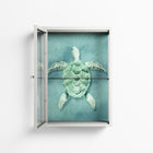 Turtle Without Kelp - Wall Cabinet - Katie O’Shea - Chalk - Clear glass