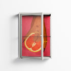 Fruit Love Pink - Wall Cabinet - Raissa Oltmanns - Chalk - Clear glass