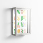 Shapes - Wall Cabinet - Lydia Greaves - Chalk - Clear glass
