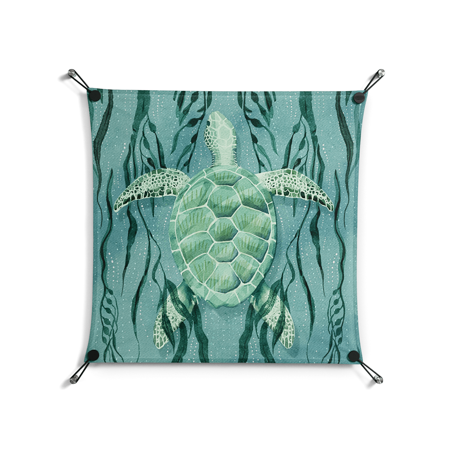 Turtle With Kelp - Work On Wall - Katie O’Shea - Black - 70 x 70 cm