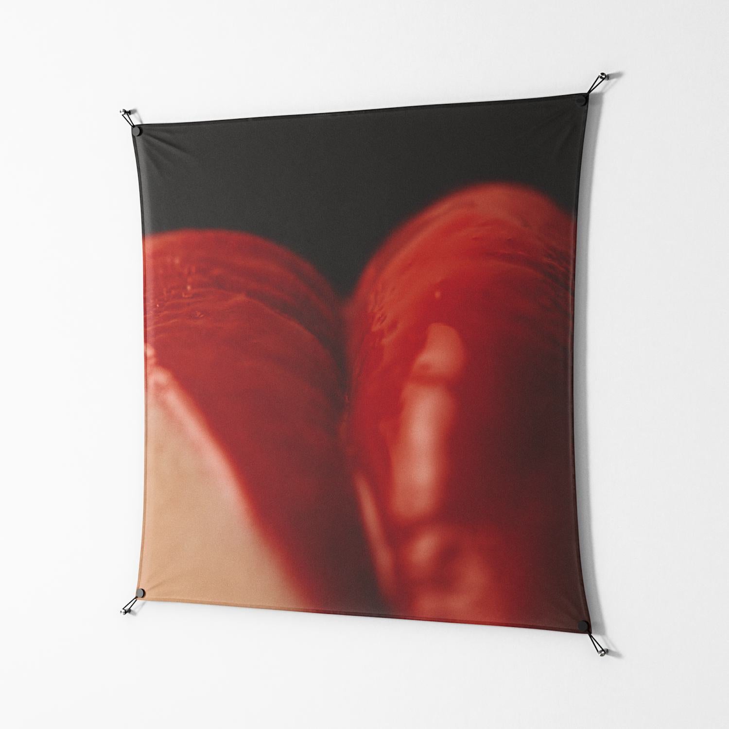 Red 3 - Work On Wall - Nadia Ryder - Black - 140 x 140 cm