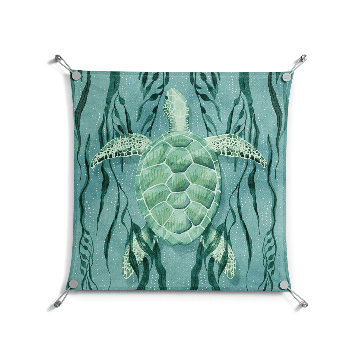 Turtle With Kelp - Work On Wall - Katie O’Shea - Silver - 70 x 70 cm