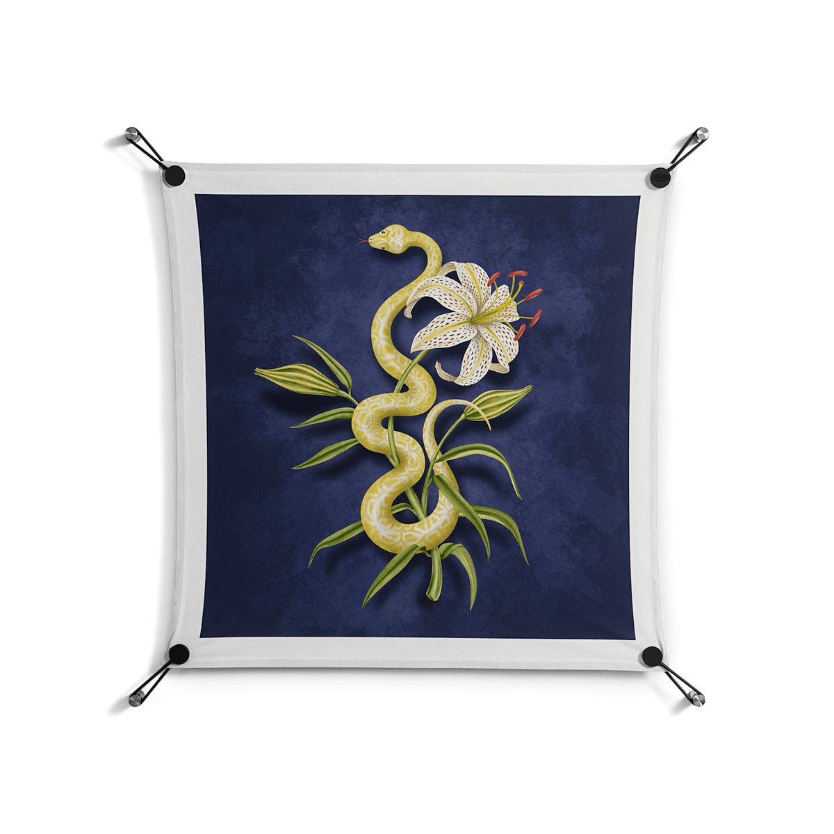 Snake Tigerlily - Work On Wall - Amy Suther - Black - 70 x 70 cm