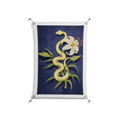 Snake Tigerlily - Work On Wall - Amy Suther - Silver - 70 x 100 cm