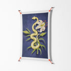 Snake Tigerlily - Work On Wall - Amy Suther - Orange - 70 x 100 cm